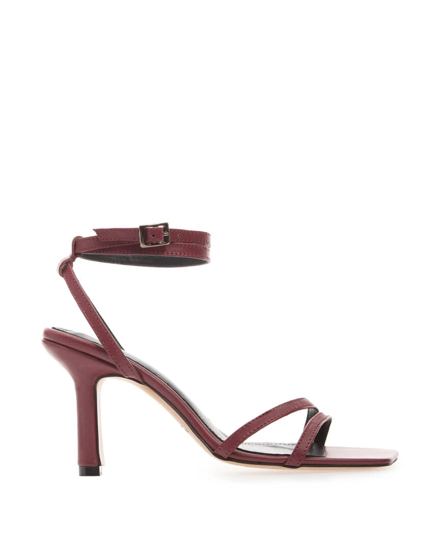 shb1bbl (Bordo)
