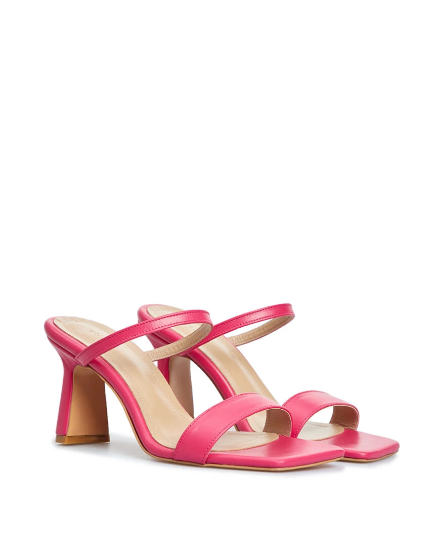 22sdghmp (Pink)
