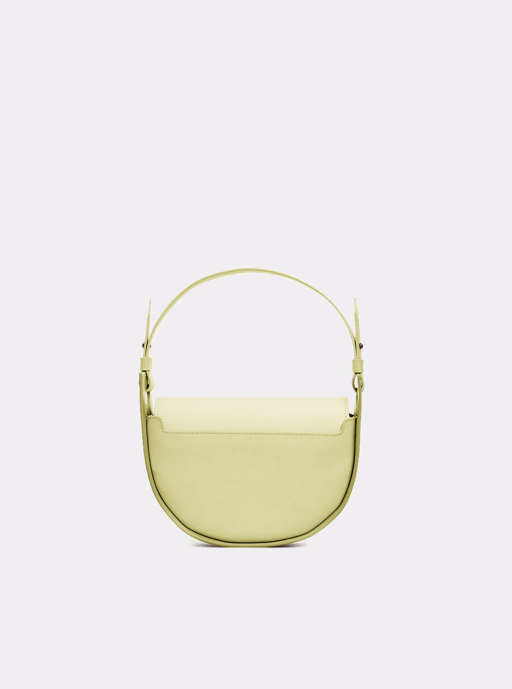 q121weq (mimosa)