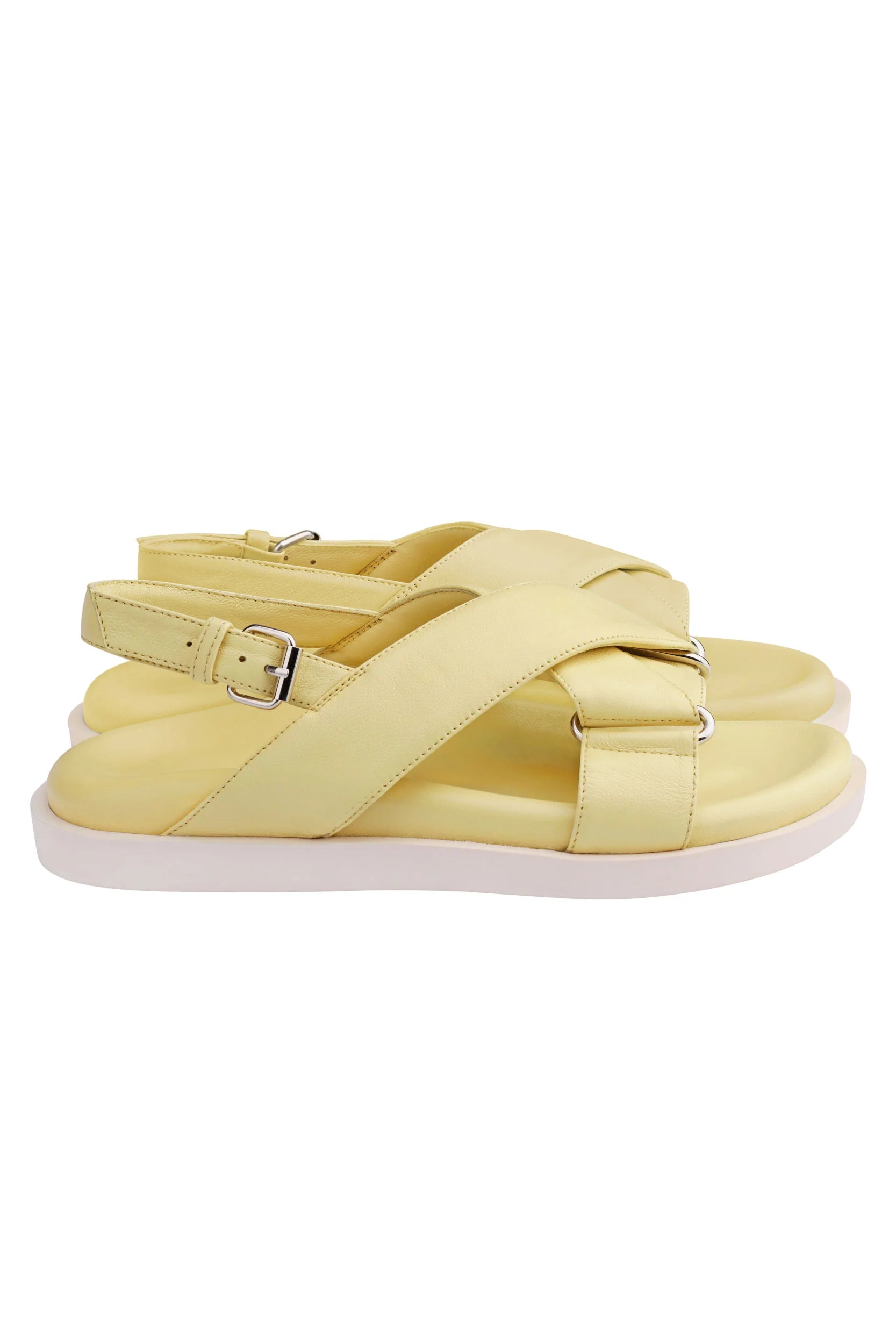 1sy (Yellow)