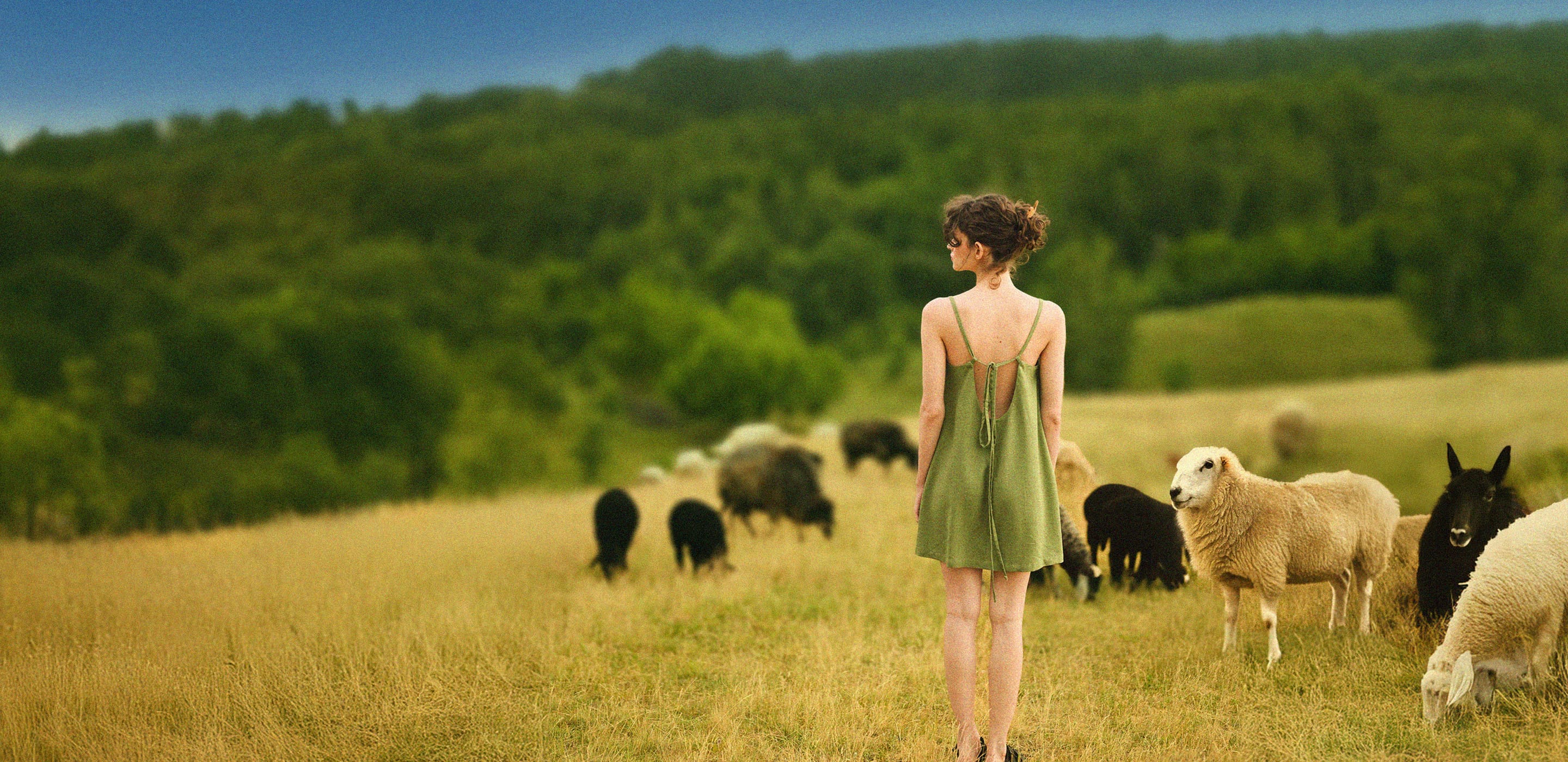a person in a green dress standing in a picturesque field surrounded by sheep and lush greenery
